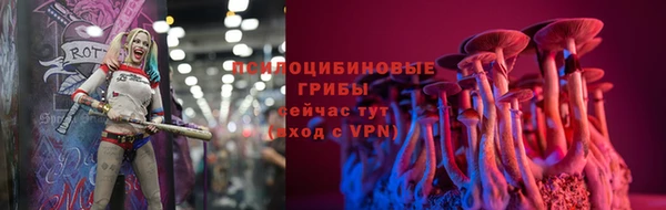 героин Вяземский