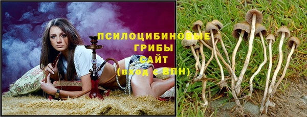 крисы Волоколамск