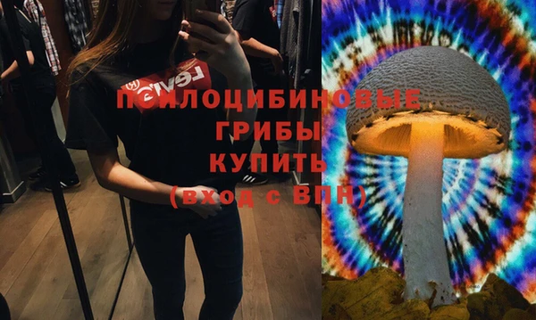 СК Волосово