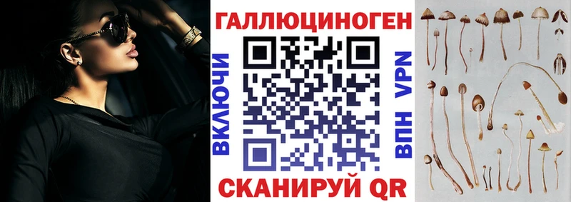 MEGA маркетплейс  Дудинка  Псилоцибиновые грибы Cubensis 